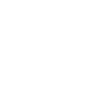 Iris Innovation